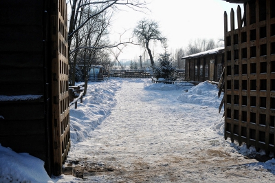 Wigilia u Radosnych Maluchów w 2010 roku